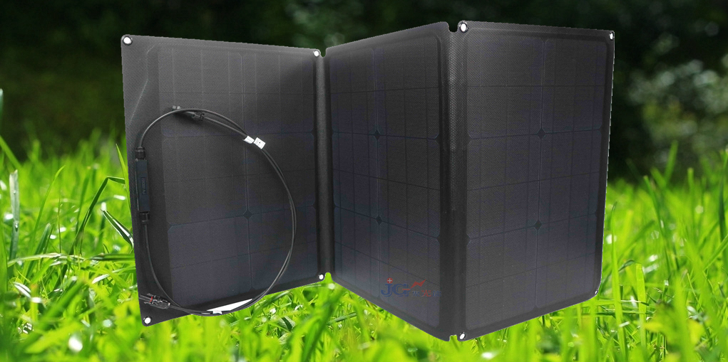 ETFE1 + grass.jpg